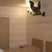 ca5584955343a78a3b9e7a76aad362ce_1050x600.jpg